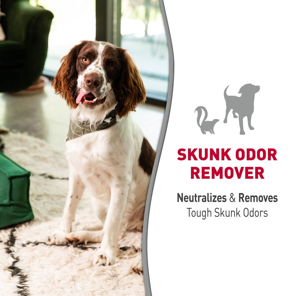 Best skunk odor remover for dogs cheap